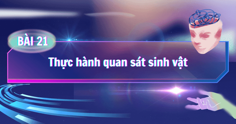 Bài 21: Thực hành quan sát sinh vật
