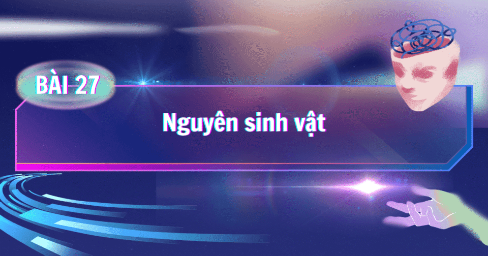 Bài 27: Nguyên sinh vật