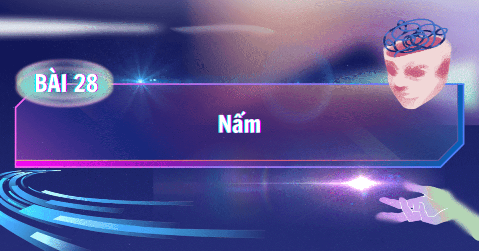 Bài 28: Nấm