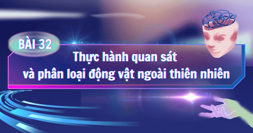 Bài 32: Thực hành quan sát và phân loại động vật ngoài thiên nhiên