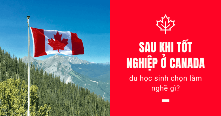 Sau khi tốt nghiệp ở Canada, du học sinh chọn làm nghề gì?