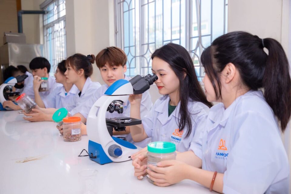 Sinh viên tham gia hoạt động nghiên cứu khoa học tại trường đại học.