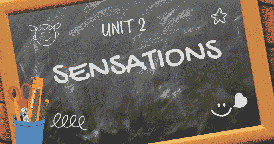 UNIT 2: SENSATIONS