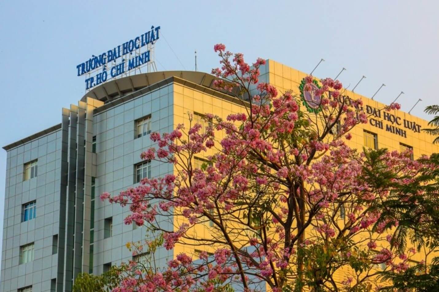 Chứng chỉ ngoại ngữ là điểm cộng quan trọng khi xét tuyển kết hợp vào ULAW năm 2025